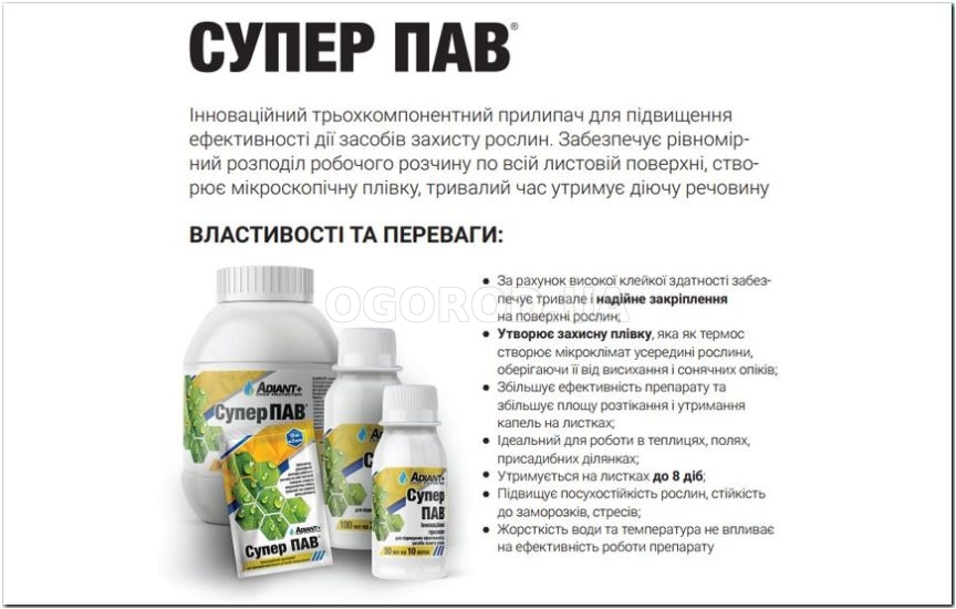 Прилипатели: верные помощники