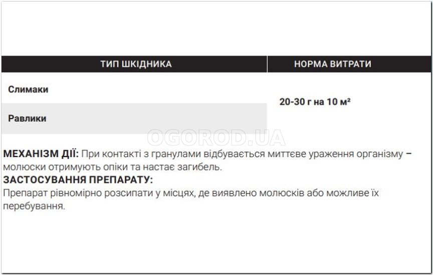 Слизни в саду: как бороться Слизни в саду: как бороться