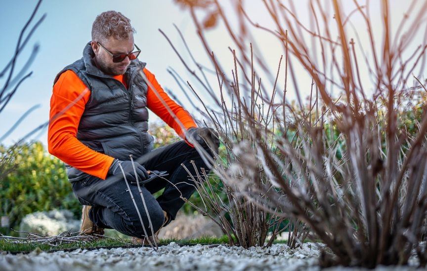 Что делать в саду и огороде в марте
