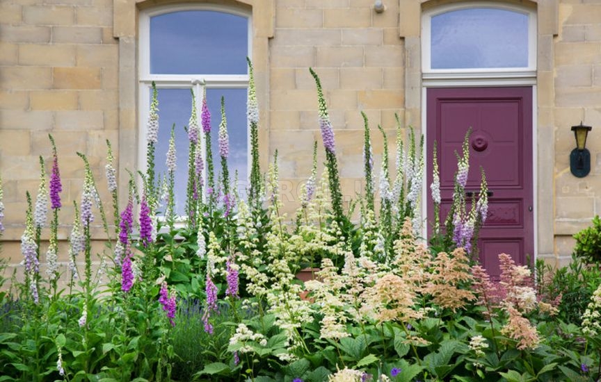 Планировка участка на будущий год