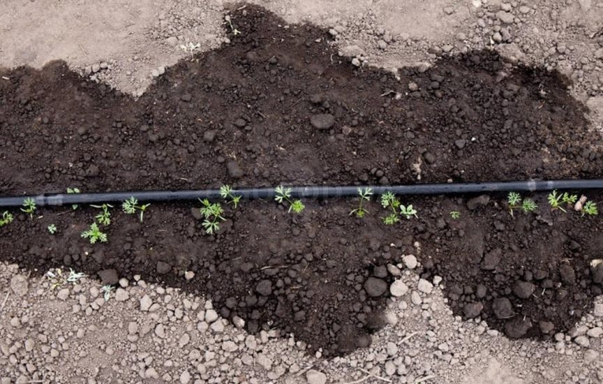 «Ленивый» огород: как сократить уход в два раза