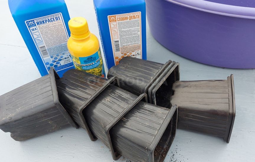 Как грамотно подготовить емкости для рассады Как грамотно подготовить емкости для рассады