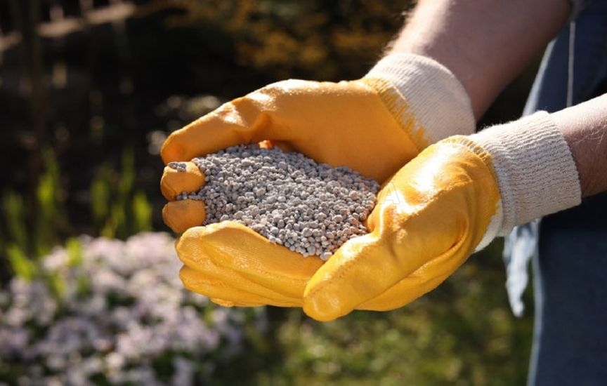 Обязательные весенние подкормки сада: составы и сроки