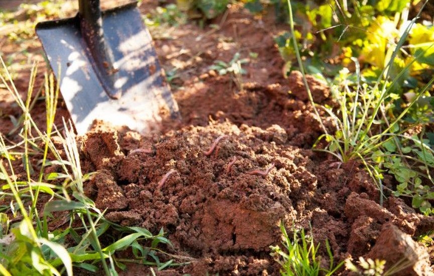 Подготовка и хранение почвы для рассады