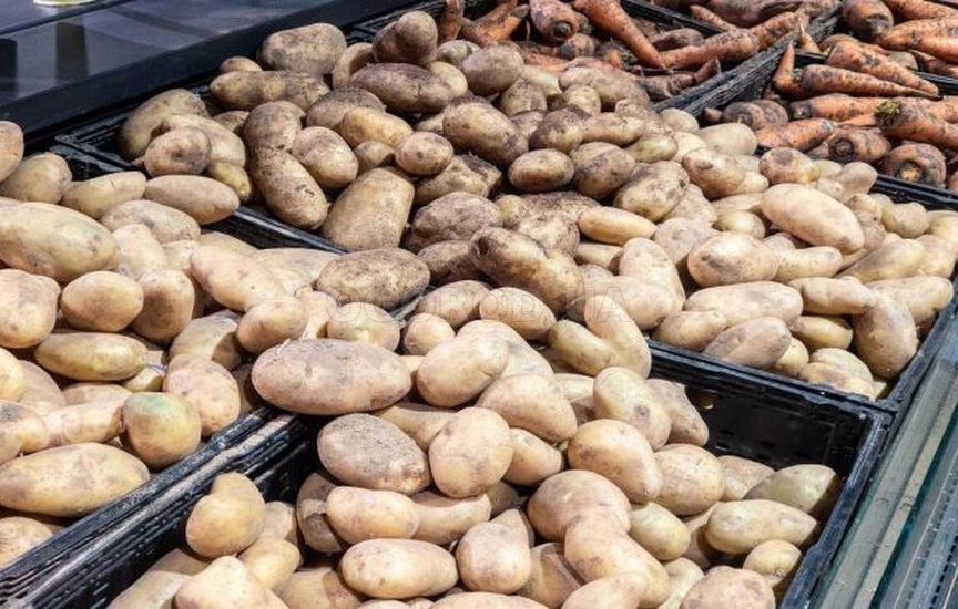 Ошибки зимнего хранения овощей