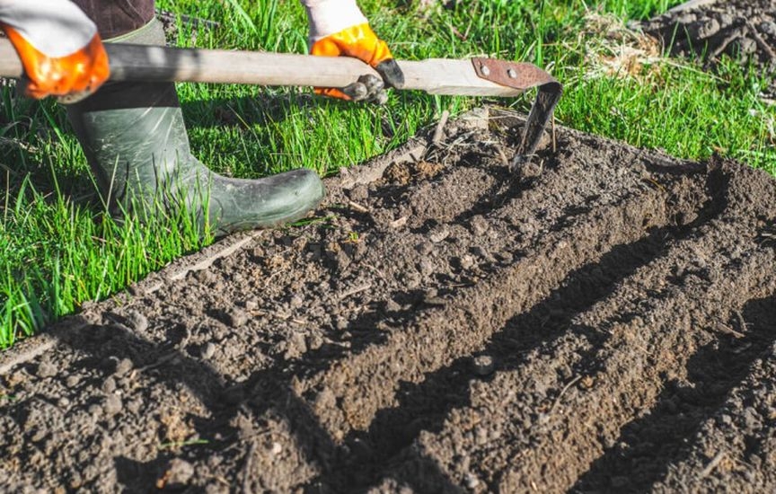 «Ленивый» огород: как сократить уход в два раза