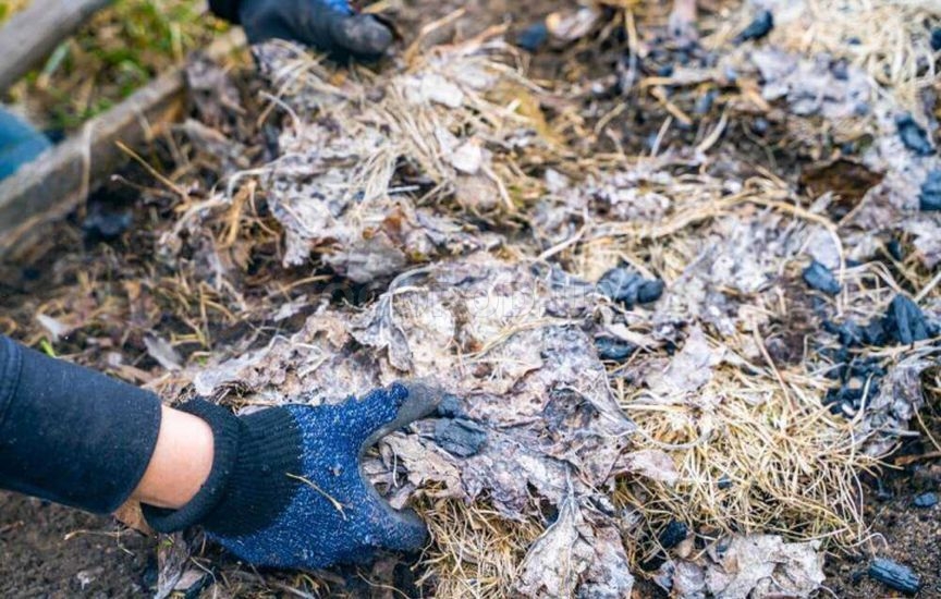 Что нельзя делать в теплице весной – главные ошибки