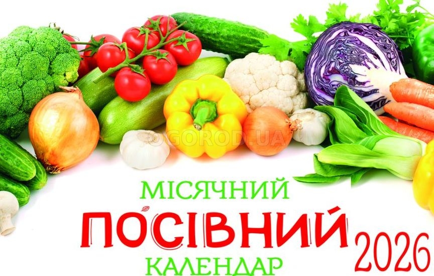 Лунный календарь ОГОРОДника 2026