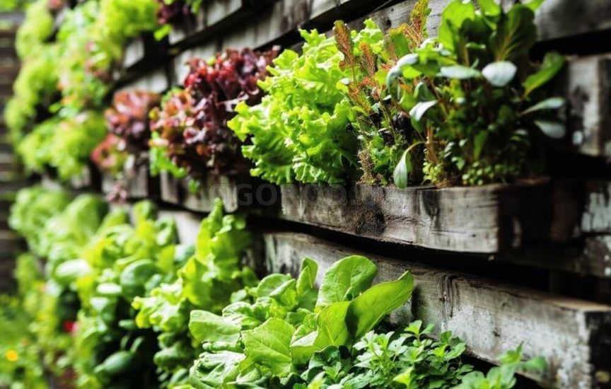 «Ленивый» огород: как сократить уход в два раза