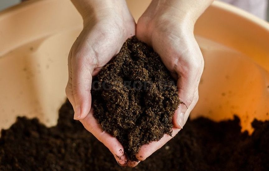 Подготовка и хранение почвы для рассады