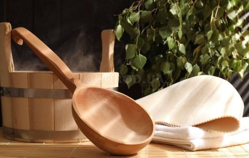 Как заставить теплицу приносить пользу и зимой