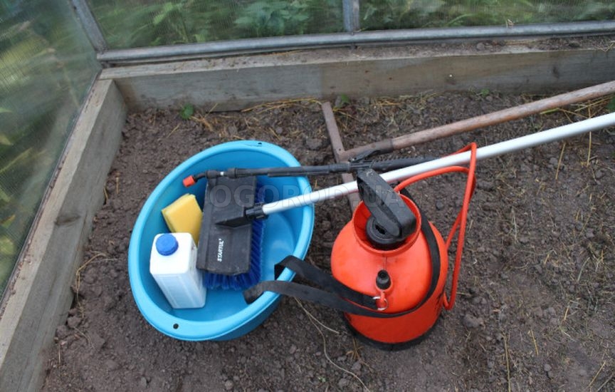 Что делать в саду и огороде в марте