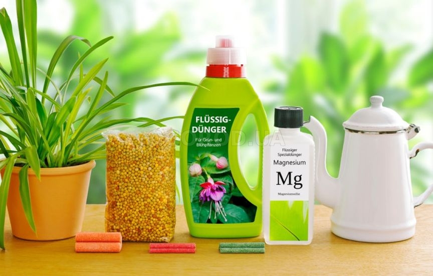 Удобрения в виде палочек: использование и преимущества