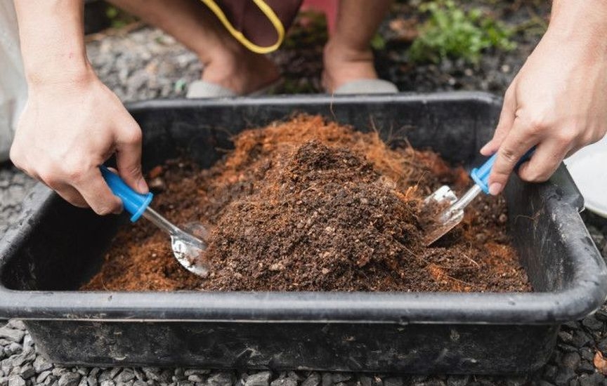 Подготовка и хранение почвы для рассады