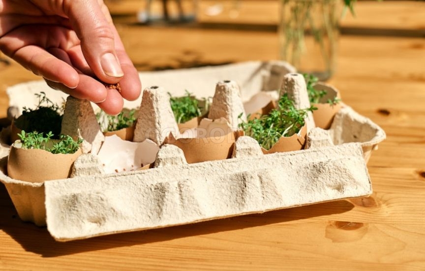 Как грамотно подготовить емкости для рассады Как грамотно подготовить емкости для рассады