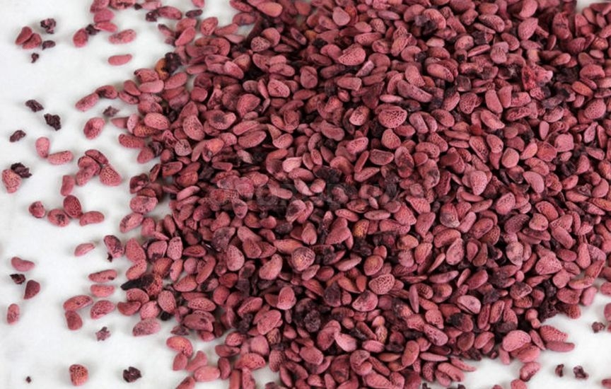 Малина из семян в домашних условиях