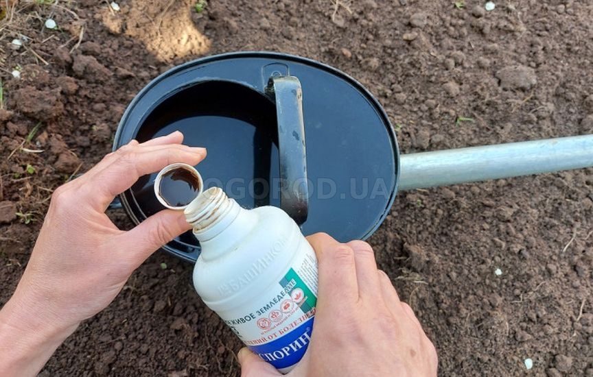 Методы восстановления почвы Методы восстановления почвы