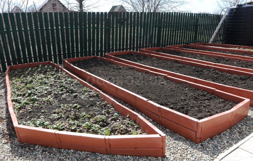 Что делать в саду и огороде в марте