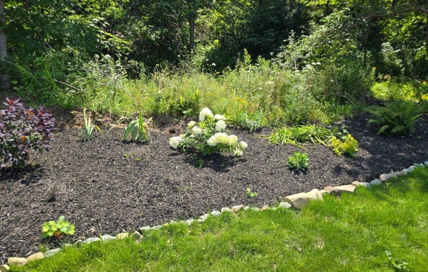 Планировка участка на будущий год