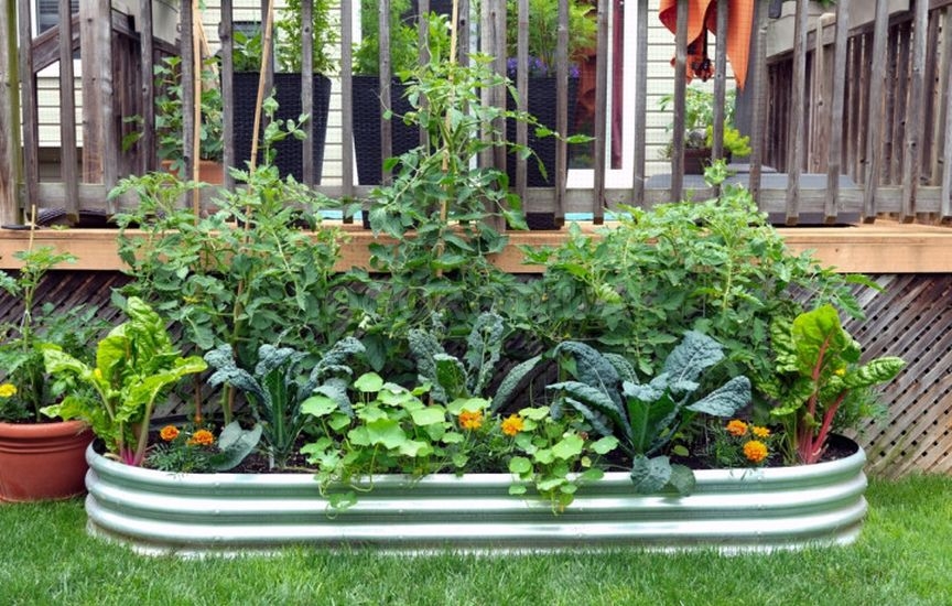 Планировка участка на будущий год