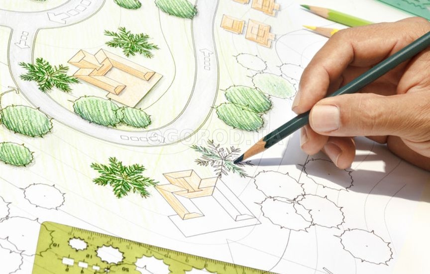 Планировка участка на будущий год