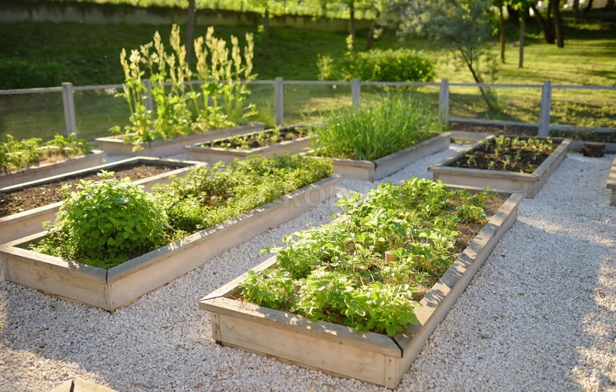 «Ленивый» огород: как сократить уход в два раза