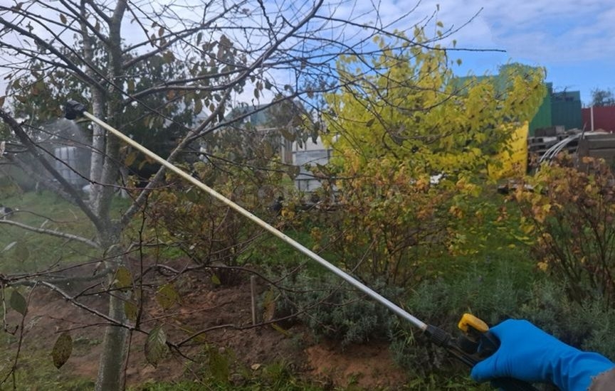 Садовый бинт: как использовать и чем заменить Садовый бинт: как использовать и чем заменить