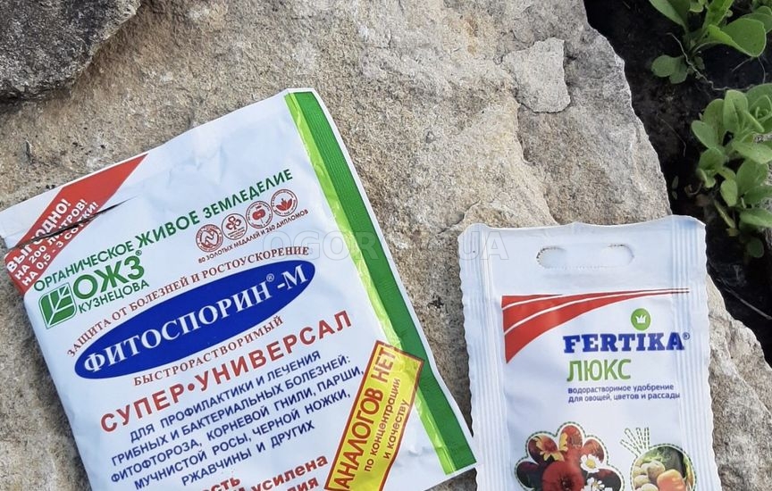 Методы восстановления почвы Методы восстановления почвы