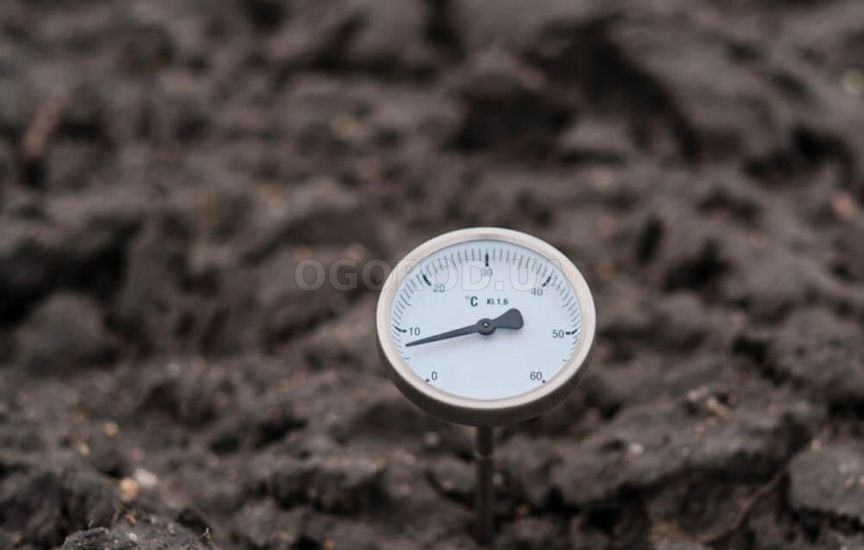 Что нельзя делать в теплице весной – главные ошибки