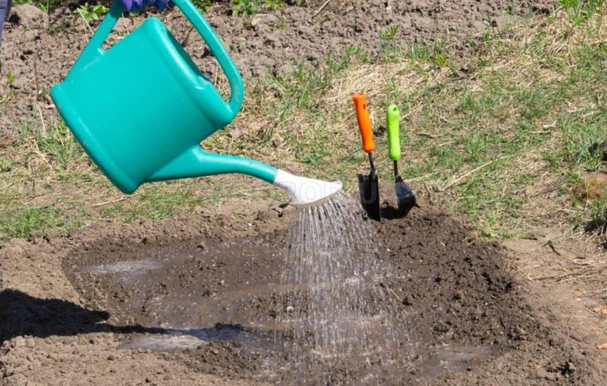 «Ленивый» огород: как сократить уход в два раза