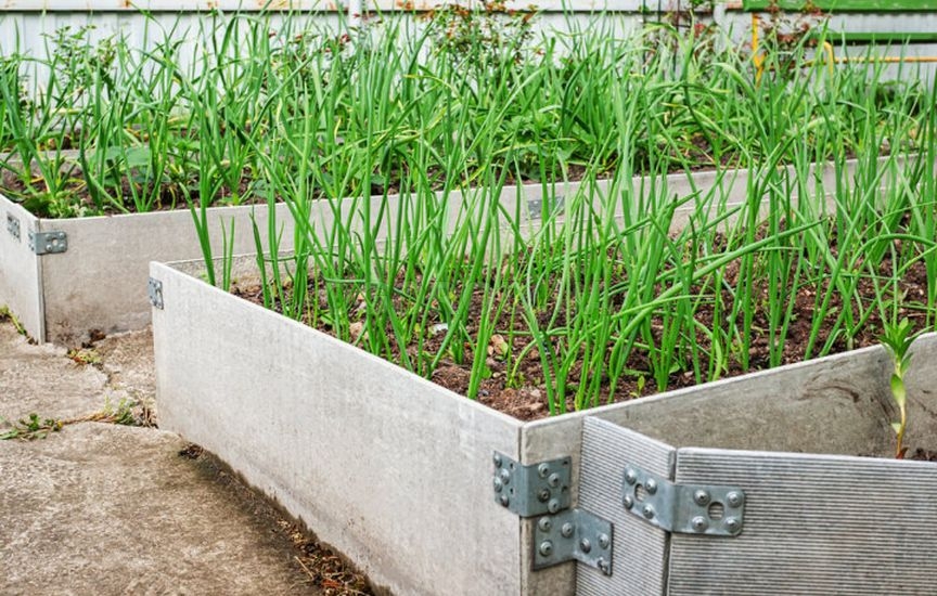 «Ленивый» огород: как сократить уход в два раза