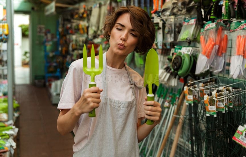 Планировка участка на будущий год