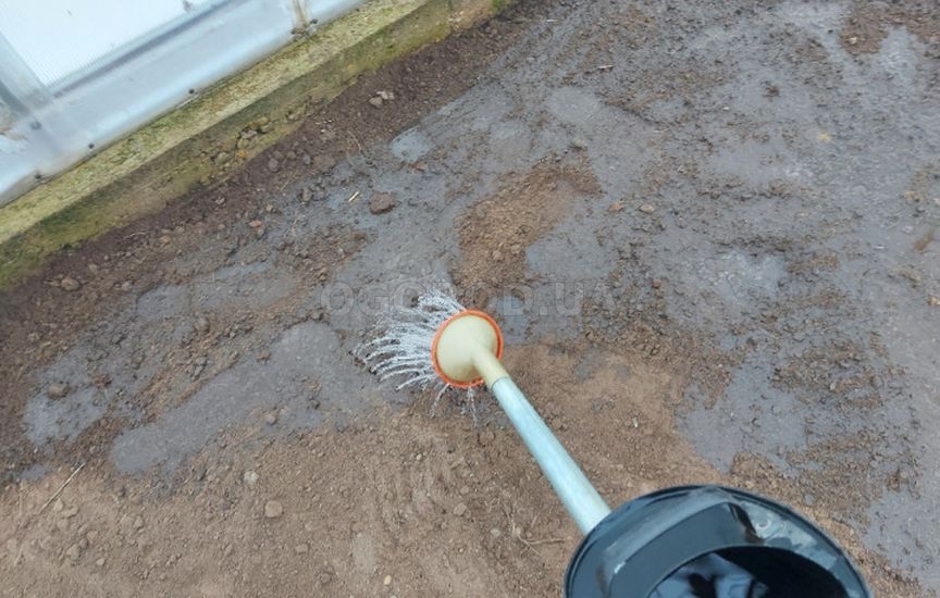 Что делать в саду и огороде в марте