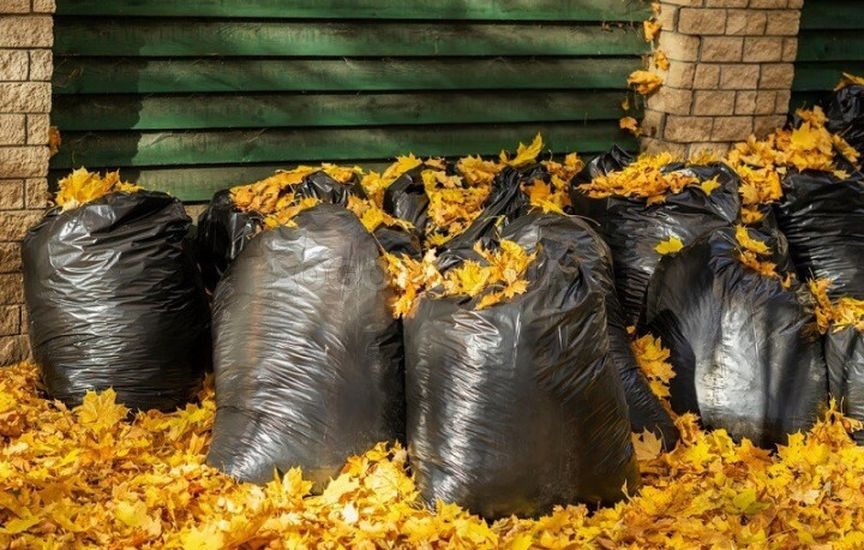 Полезные лайфхаки для огорода в октябре
