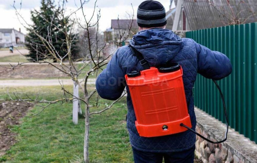 Как сберечь молодые саженцы в первую зиму Как сберечь молодые саженцы в первую зиму