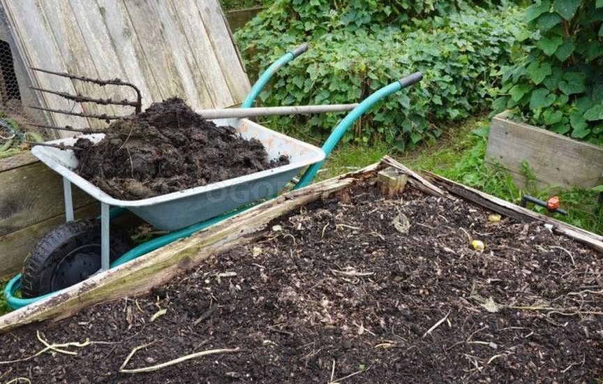 Методы восстановления почвы Методы восстановления почвы