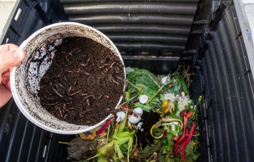 Методы восстановления почвы Методы восстановления почвы