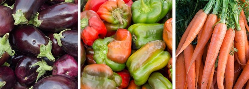 ЗОЖ-продукты на своем участке. Часть 2