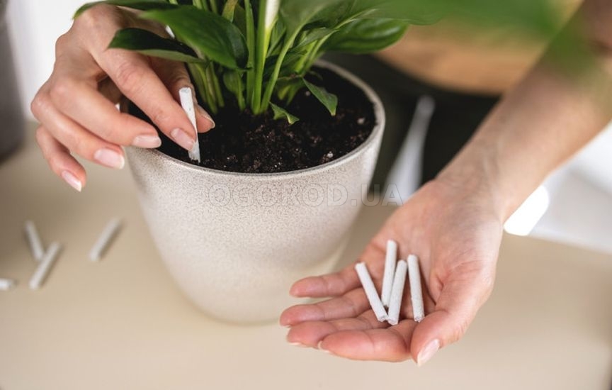 Удобрения в виде палочек: использование и преимущества