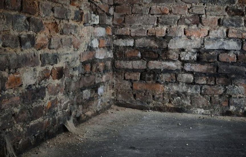 Ошибки зимнего хранения овощей