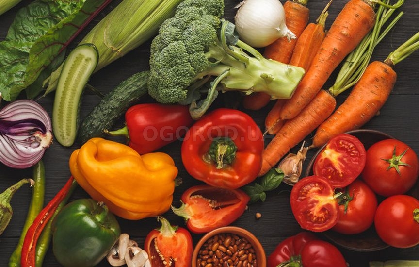 ЗОЖ-продукты на своем участке. Часть 2