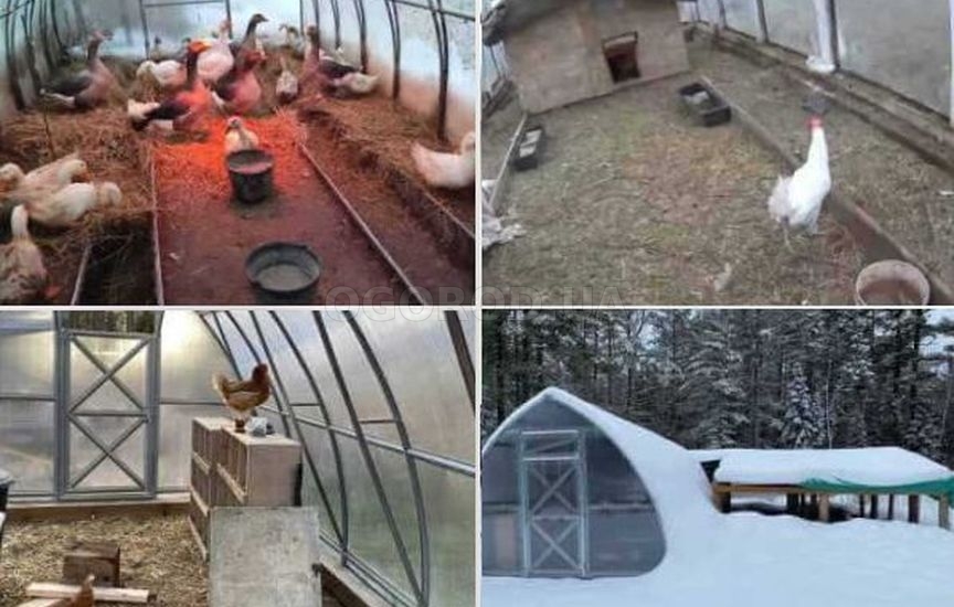 Как заставить теплицу приносить пользу и зимой