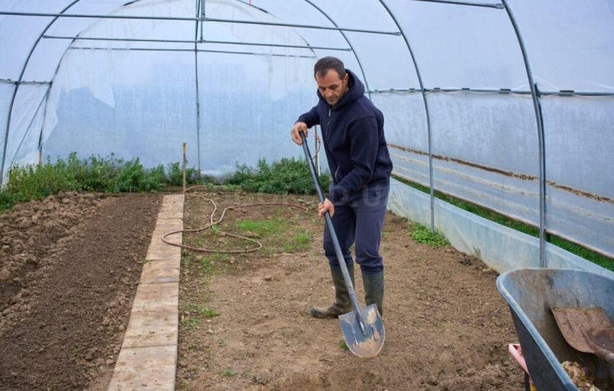 Что нельзя делать в теплице весной – главные ошибки