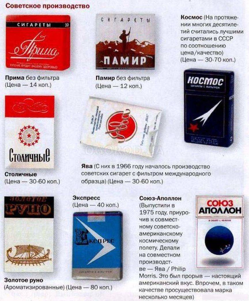 Табак СССР: группы, типы и подтипы