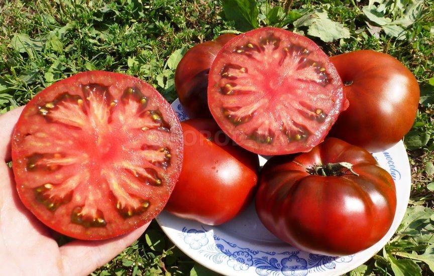 Крупноплодные томаты - сорта и выращивание