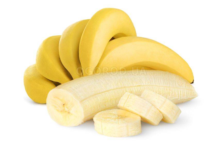 Банан (Músa)