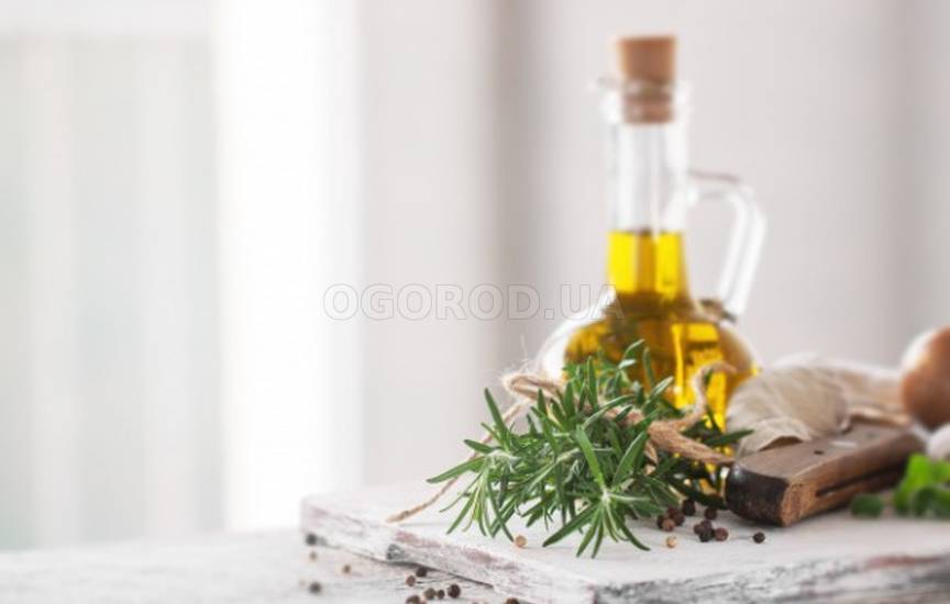 Оливковое масло с пряными травами