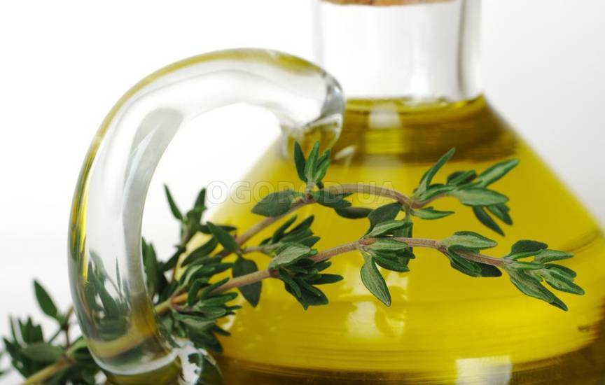 Оливковое масло с тимьяном