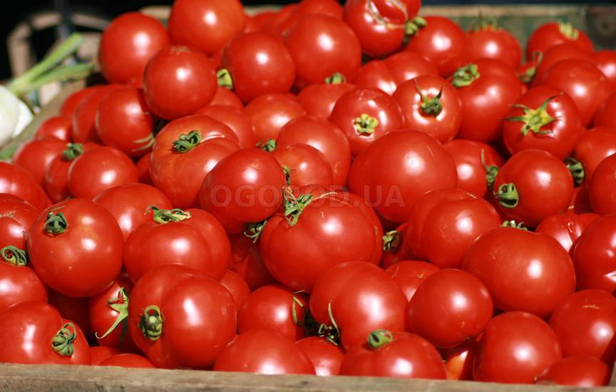 ТОП-5 полезных овощей на нашей кухне