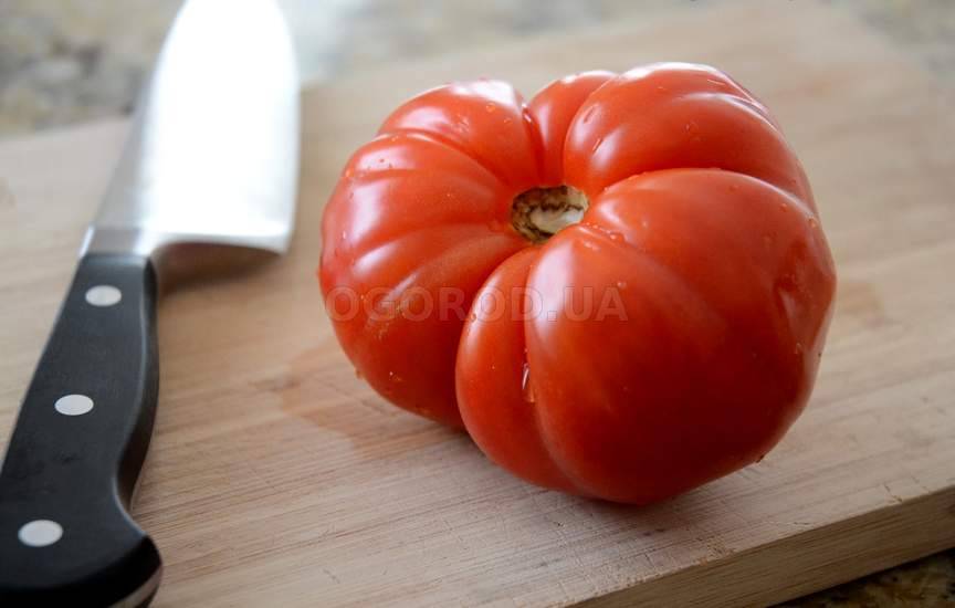 Как вырастить томаты-гиганты?
